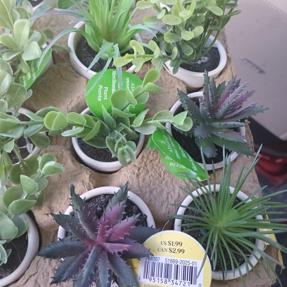 Lot Of 12 Micro Primafr Artificial Succulent Plants - Picture 9 of 11